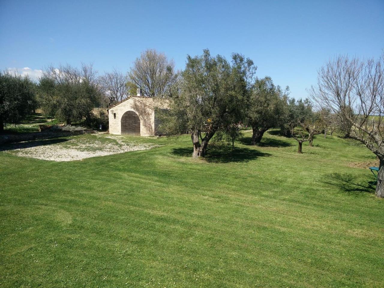 Agriturismo Mondomini Campofilone Екстериор снимка